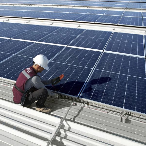 Empresa líder en México en paneles solares