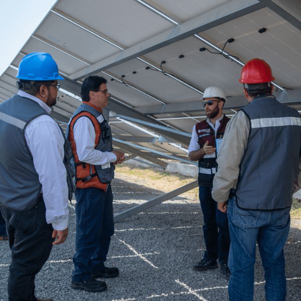 Líderes en México en paneles solares